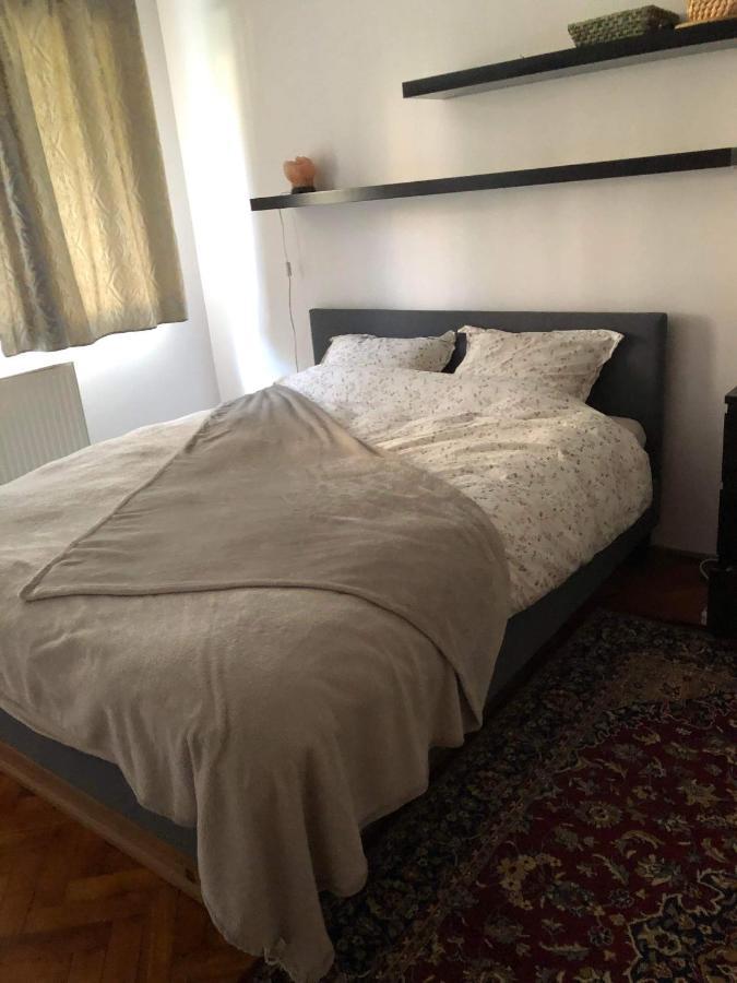 Ale's Cosy Flat Apartment Brasov