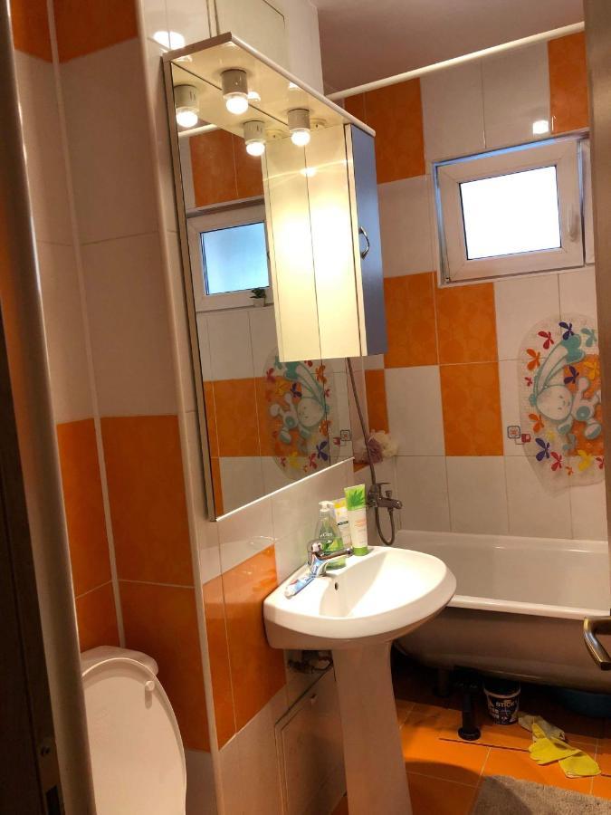 Apartment Ale's Cosy Flat Brasov